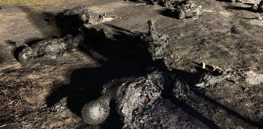 98 muertos y cero detenidos: Luis Murat