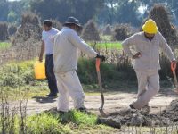 En compra de gasolina robada hay 2 grandes empresas involucradas, revelan