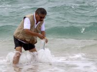 En Puerto Ángel, Huatulco y Puerto Escondido, playas limpias y sustentables: SSO