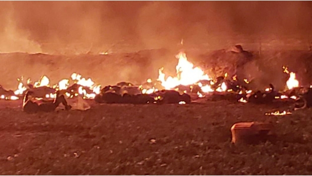 Reportan 20 muertos y 54 heridos tras explosión de toma clandestina en Tlahuelilpan