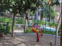 Mejoran imagen y servicios del parque “Del Agua Centenario”