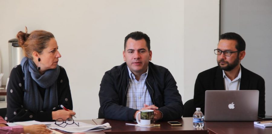 Impulsarán Coplade y Unión Europea proyectos de impacto regional para Oaxaca