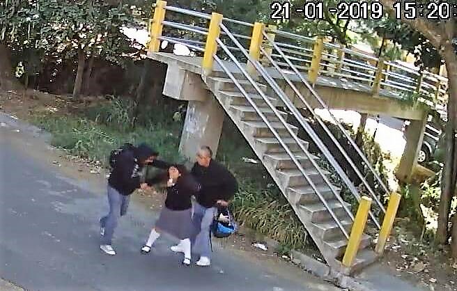 Exitoso inicio en combate al hampa, de Policía Municipal: Alfredo Martínez de Aguilar