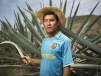 España, cuarto destino mundial de exportación de mezcal