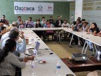 Mezcal oaxaqueño, tesoro ancestral de México: SAI