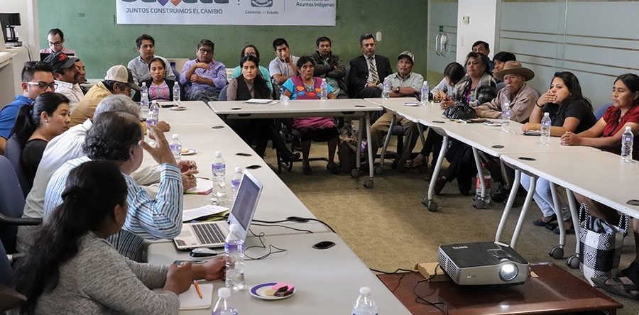 Mezcal oaxaqueño, tesoro ancestral de México: SAI