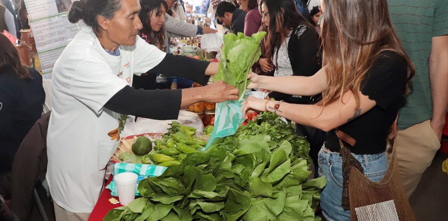 En la 2ª  Feria Agroalimentaria se ofertan  productos 100 por ciento oaxaqueños
