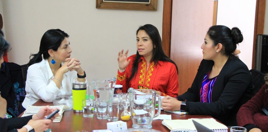 Fortalecen Sedesoh y SMO estrategias de desarrollo social con perspectiva de género