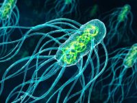 Alerta EU por bacteria en clínica de Tijuana