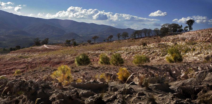 Atacan a balazos a campesinos en la región de la Mixteca; reportan tres muertos