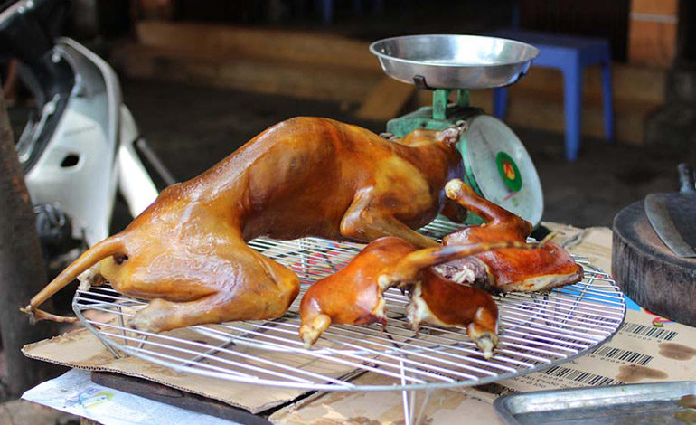 Taquitos de perro: Horacio Corro Espinosa