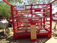 Sedapa entrega báscula de ganado mayor a baratillo de la Villa de Zaachila