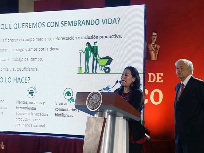Destina Gobierno federal 24 mmdp a la reforestación del país