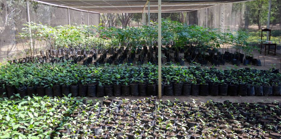 Contribuye Administración al fomento de la cultura ambiental