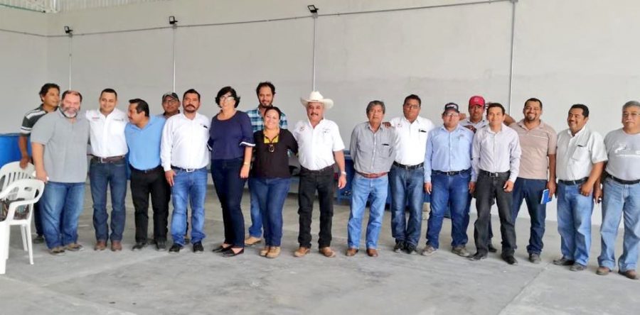 Inicia Sedapa y Senasica Campaña Nacional contra la Mosca de la Fruta en Mango