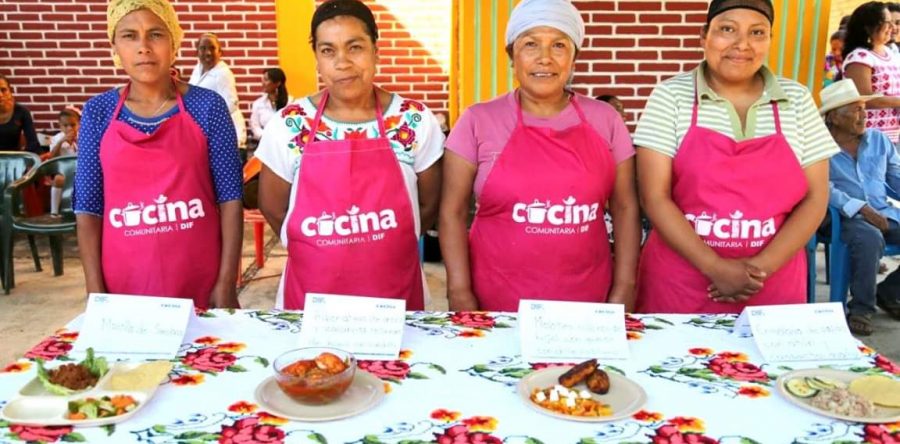 DIF Estatal Oaxaca y SEDAPA benefician a familias de la región Mixteca