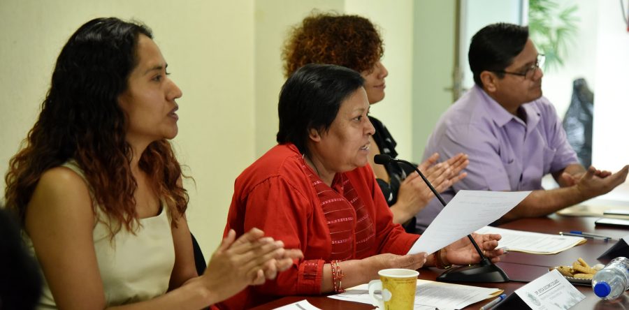 Congreso coadyuva con instituciones estatales en el proceso de aplicación de las Zonas Económicas especiales