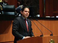 Exhorta Partido Verde al gobierno federal a dar continuidad a proyecto de energía eólica en Oaxaca