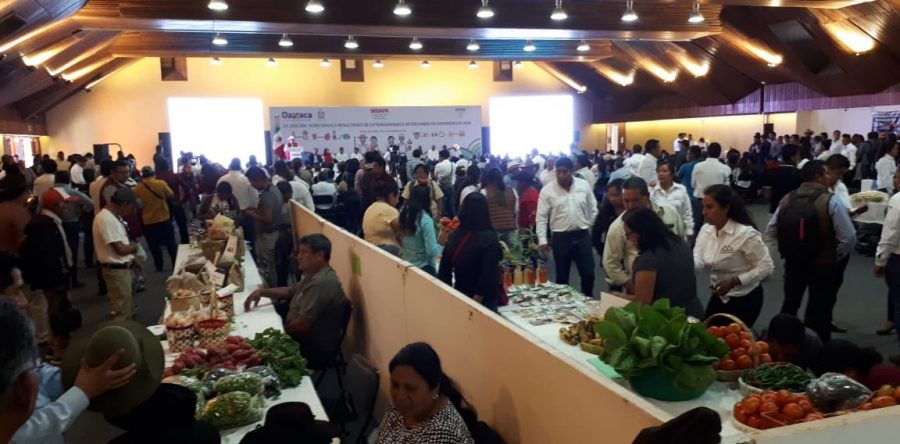 Oaxaca en la ruta correcta para el crecimiento del campo: Sedapa