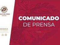 Sin incidentes concluye periodo de campañas  de contendientes a agentes municipales de Oaxaca de Juárez