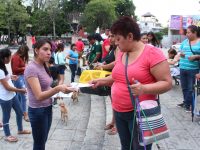 Gobierno capitalino comparte con la ciudadanía acciones para evitar el maltrato animal