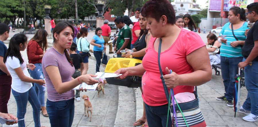Gobierno capitalino comparte con la ciudadanía acciones para evitar el maltrato animal