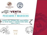 Municipio de Oaxaca promoverá venta de  pescados y mariscos a precios accesibles