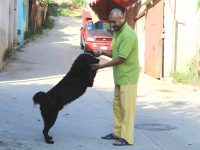 En tiempo y forma atiende denuncias el Juzgado especializado en maltrato animal de Oaxaca de Juárez