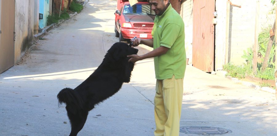 En tiempo y forma atiende denuncias el Juzgado especializado en maltrato animal de Oaxaca de Juárez