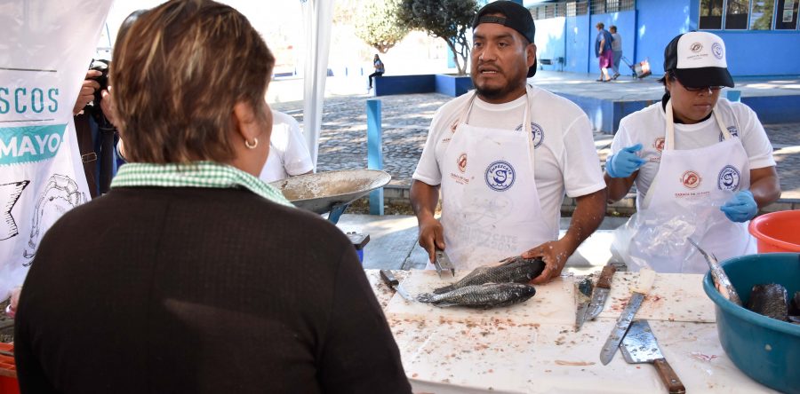 Arranca el programa “Empézcate 2019” del Ayuntamiento de Oaxaca de Juárez