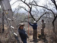 Promueve Gobierno capitalino campaña de saneamiento del Parque Estatal “Cerro del Fortín”