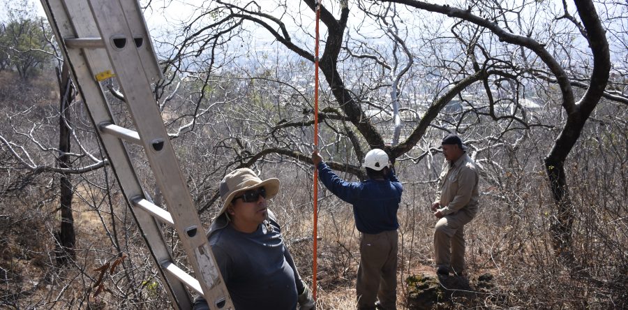 Promueve Gobierno capitalino campaña de saneamiento del Parque Estatal “Cerro del Fortín”