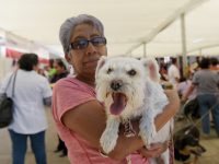 Arranca SSO Semana Nacional de Vacunación Antirrábica  Canina y Felina 2019
