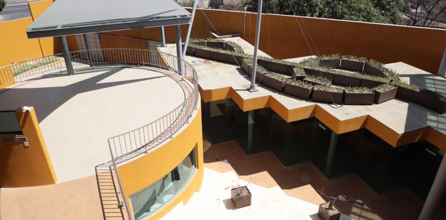 El CIMO y la grandeza musical de Oaxaca: *Francisco Ángel Maldonado Martínez