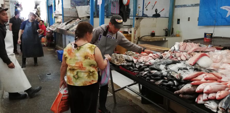 Emite SSO recomendaciones para consumir productos del mar saludables en cuaresma
