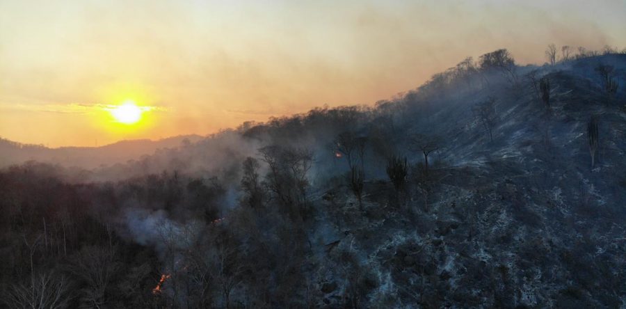 Trabajan Gobierno Federal, Estatal y municipal en combate de incendios forestales en Oaxaca