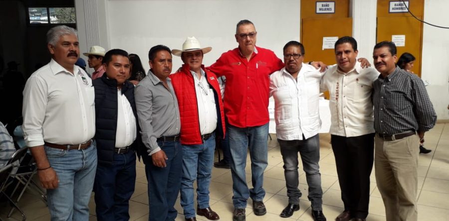 Sedapa trabaja para impulsar la producción y exportación de aguacate oaxaqueño