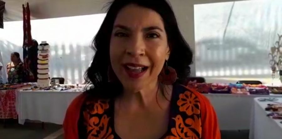 No investigamos casos de violencia contra las mujeres: Ana Vázquez Colmenares