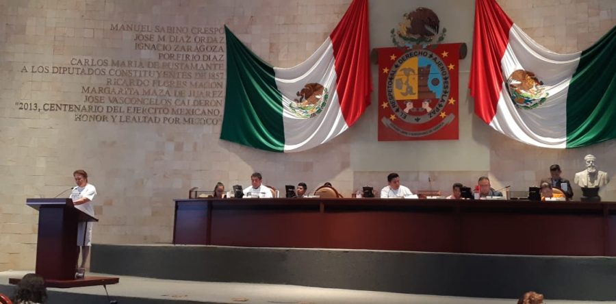 Aprueban y aplauden diputados Guarda Nacional; se ponen la “camiseta”