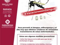 Convoca Gobierno de Oaxaca de Juárez a sumar esfuerzos por unas #VacacionesSinDengue