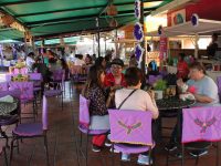 Nieves del Jardín Sócrates, paso obligado para conocer más de la gastronomía oaxaqueña
