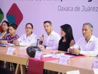 Debemos brindar a la infancia y adolescencia las mejores condiciones de bienestar social: AMH