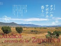 Revistas de a bordo de aerolíneas promueven atractivos de Oaxaca