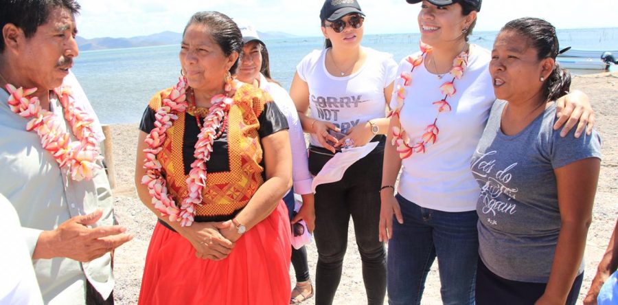 Abastecen paneles solares de energía a Santa María del Mar