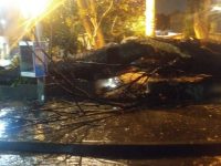 Mantienen dependencias de Gobierno, operativo por daños de lluvias esta noche