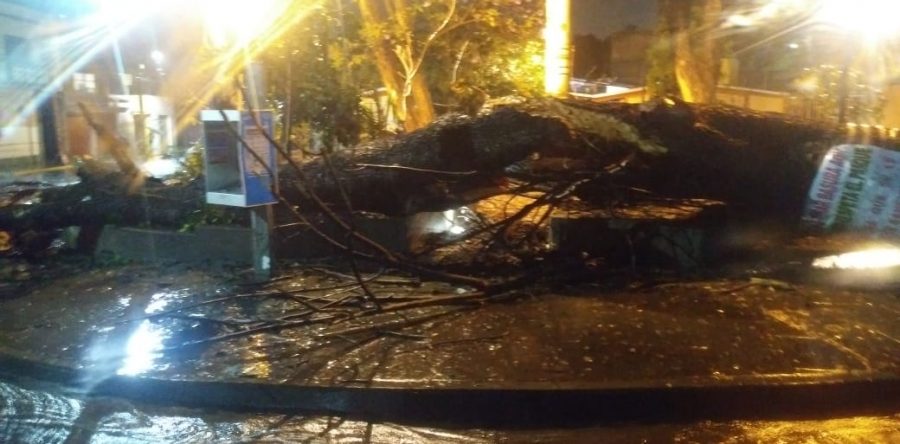 Mantienen dependencias de Gobierno, operativo por daños de lluvias esta noche