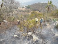 Se resguarda familia por incendio forestal en Tecomaxtlahuaca