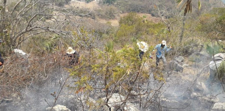 Se resguarda familia por incendio forestal en Tecomaxtlahuaca