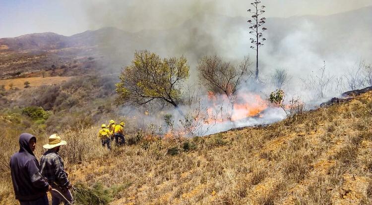 Redoblan esfuerzos Estado y Federación en el combate de incendios forestales