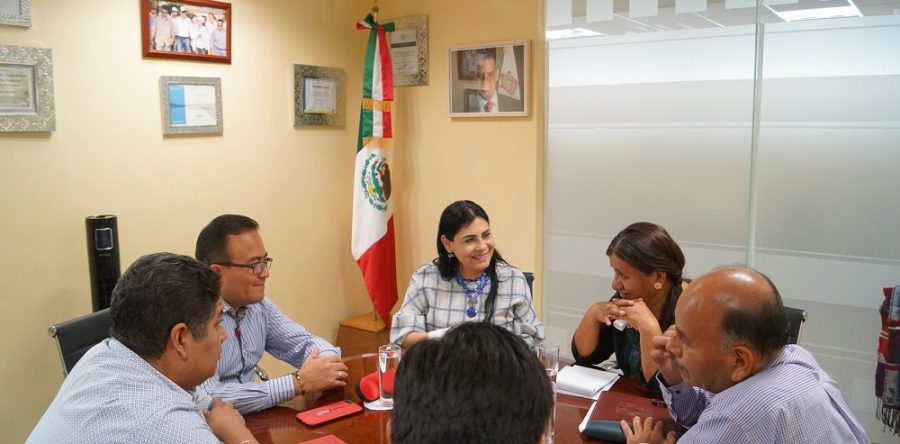 Difunde el IOAM programa piloto para asegurar a las Personas Trabajadoras del Hogar